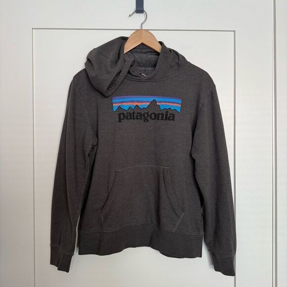 Patagonia Kids Youth Hoodie Sweatshirt Size XXL Gray Graphic Print Logo Outdoor - Picture 1 of 13